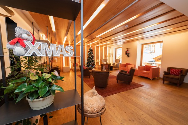 Le parti comuni Hotel Alagna Mountain Resort & SPA