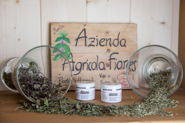 Azienda agricola Fiores San Giovanni di Fassa - Mazzin