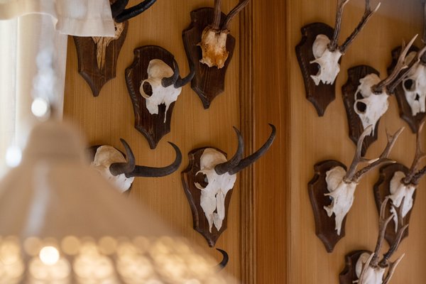 Photo of some details Alte Goste