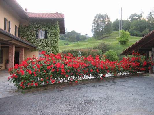 Foto del giardino Muzzano (Alpi Biella)