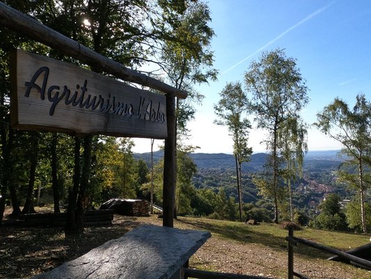 Logo Agriturismo L'Arbo - Appartamenti in baita