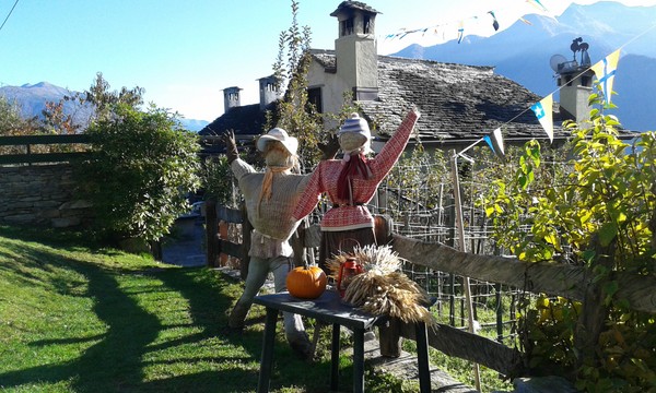 Foto del giardino Domodossola