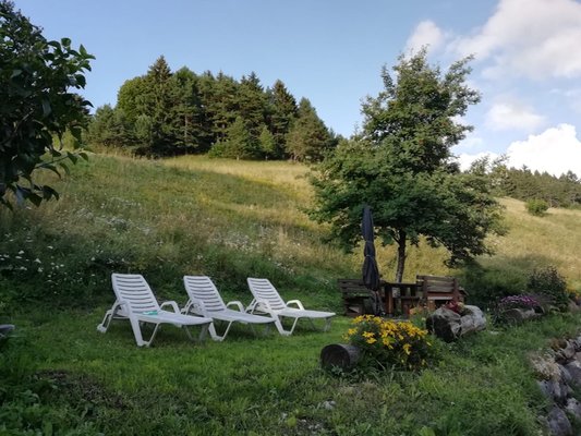 Foto del giardino Folgaria