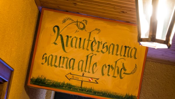 Photo of some details Scherer
