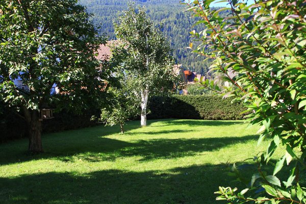 Photo of the garden Valdaora di Sotto / Niederolang