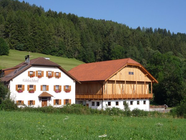 Sommer Präsentationsbild Ferienwohnungen auf dem Bauernhof Kühbachhof