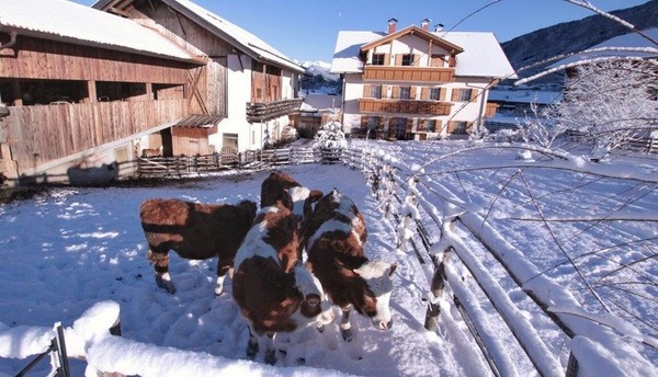 Foto esterno Appartamenti in agriturismo Schöneggerhof