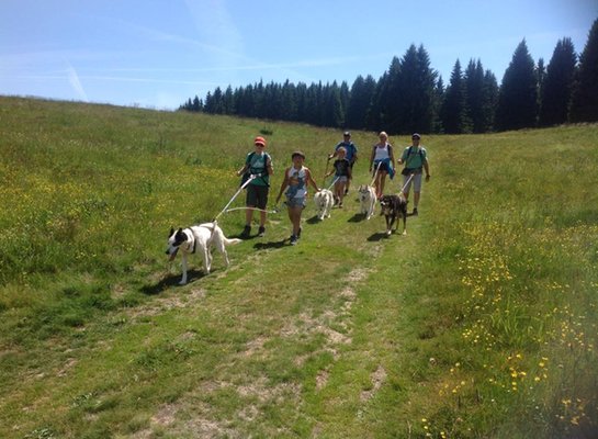 Summer activities Alpe Cimbra - Folgaria and surroundings