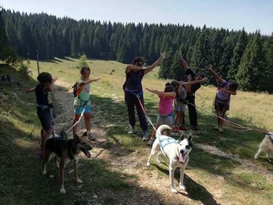 Summer activities Alpe Cimbra - Folgaria and surroundings
