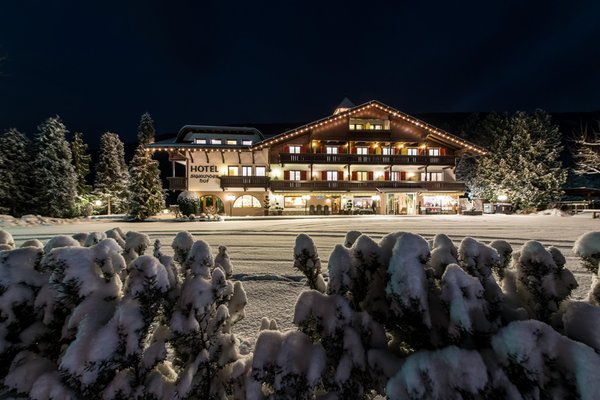 Foto invernale di presentazione Hotel Sigmunderhof