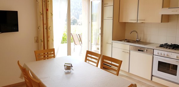 Photo of the kitchen Abfalterer