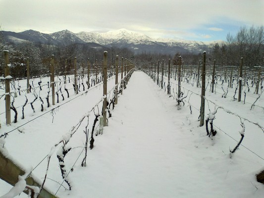 Foto vom Garten Levone (Alto Canavese)