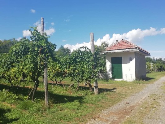 Foto vom Garten Levone (Alto Canavese)