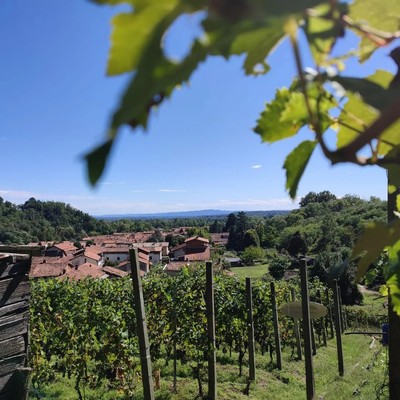 Aussicht vom Betrieb