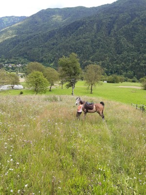 Aktivitäten Val di Sole und Val Rendena