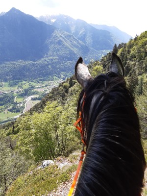 Aktivitäten Val di Sole und Val Rendena
