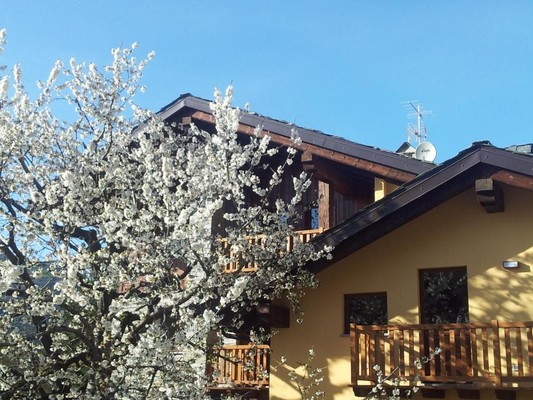 Foto Außenansicht Ferienwohnungen La vigne de Papagran