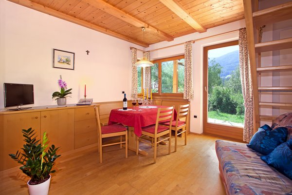 The living area Farmhouse apartments Grünbacherhof