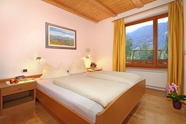 Photo of the room Farmhouse apartments Grünbacherhof