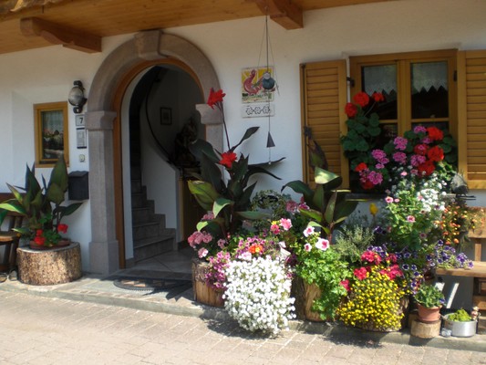 Foto esterno Appartamenti in agriturismo Pichlerhof