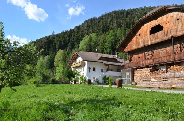 Foto Außenansicht B&B + Ferienwohnungen auf dem Bauernhof Falkenau