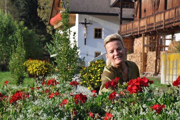 B&B + Appartamenti in agriturismo Falkenau Brunico e dintorni