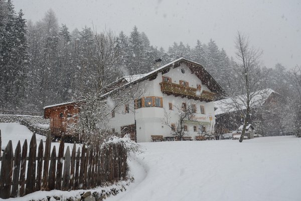 Foto esterno in inverno Falkenau