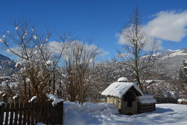 Foto esterno in inverno Falkenau