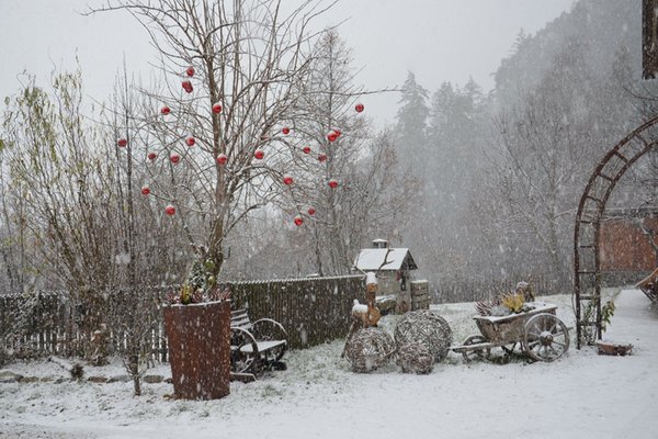 Foto esterno in inverno Falkenau