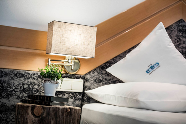 Foto della camera Hotel Windschar