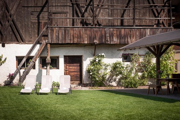 Photo exteriors in summer Active Hotel Sonne
