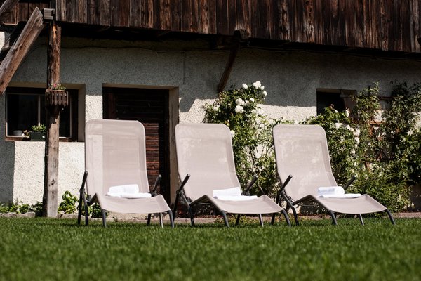 Photo of the garden Gais (Brunico / Bruneck and surroundings)
