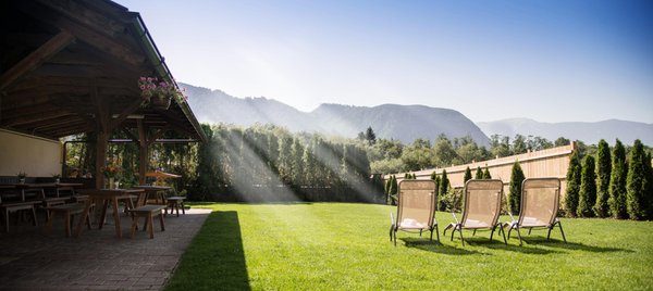 Photo of the garden Gais (Brunico / Bruneck and surroundings)