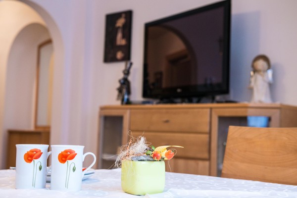 The living area Apartments Kraler