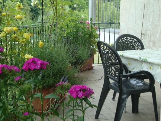 Foto vom Garten Frassino (Valle Varaita)