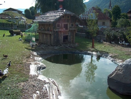 Foto vom Garten Gais (Bruneck und Umgebung)