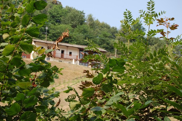 Photo exteriors Farmhouse apartments Sere di Sosta