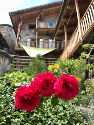 Foto del giardino Macra (Valle Maira)