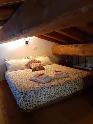 Photo of the room Apartments Bio Magia Nelle Marittime