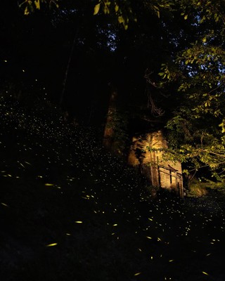 Photo exteriors Bed & Breakfast Iduevagamondi