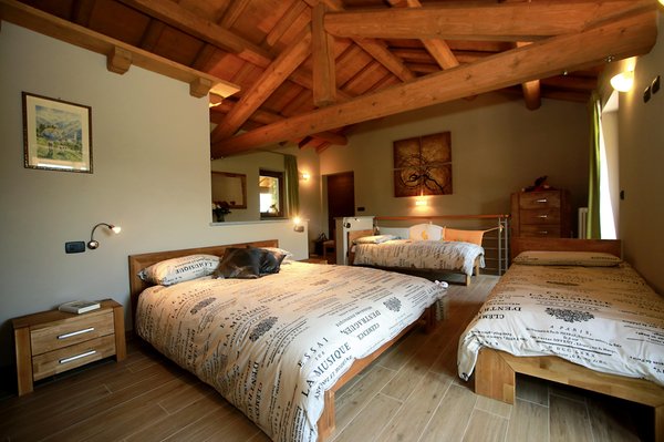 Photo of the room Apartments Chalets Mongioie