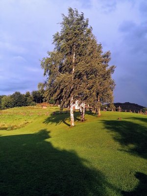 Photo of the garden Montaldo Mondovì (Cuneo Alps)