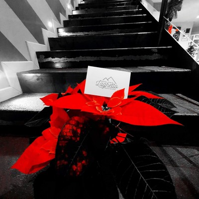 The common areas Hotel Laghetto