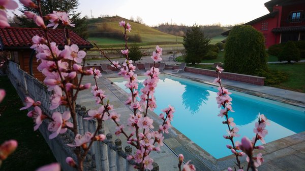 Foto della piscina all'aperto