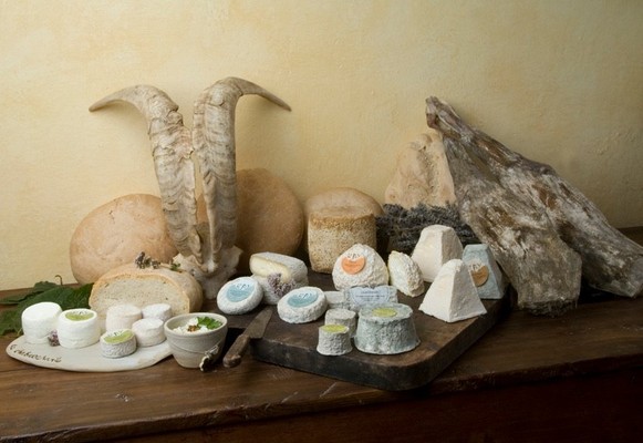 Il cibo