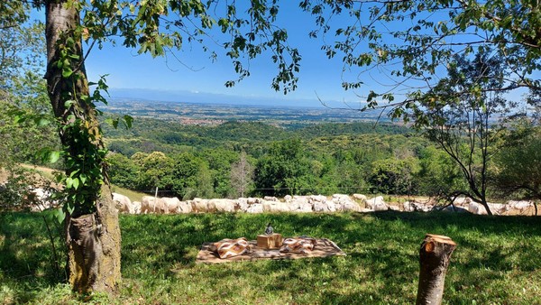 Foto vom Garten Villanova Mondovì (Alpen von Cuneo)