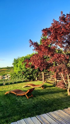 Foto vom Garten Villanova Mondovì (Alpen von Cuneo)