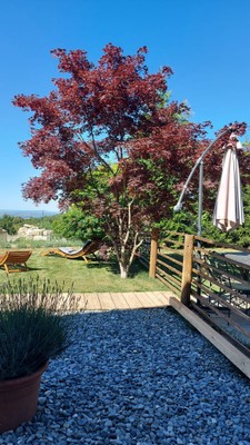 Foto vom Garten Villanova Mondovì (Alpen von Cuneo)