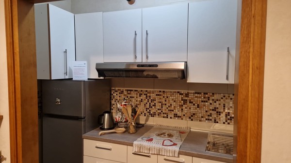 Photo of the kitchen Edelweiss