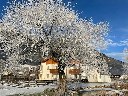 Foto Außenansicht Ferienwohnungen Anewandterhof